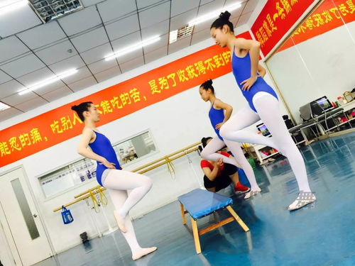 济南幼儿少儿舞蹈班秋惠盛启——山东国际艺术中心倾情回馈新学期