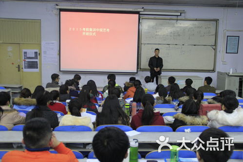 大道教育中视艺术培训学校